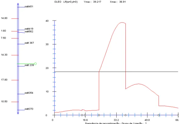 Figura 6. QTL associado ao conteúdo de óleo. Segmento do grupo de ligação I  representado à esquerda e curva da razão de verossimilhança à direita