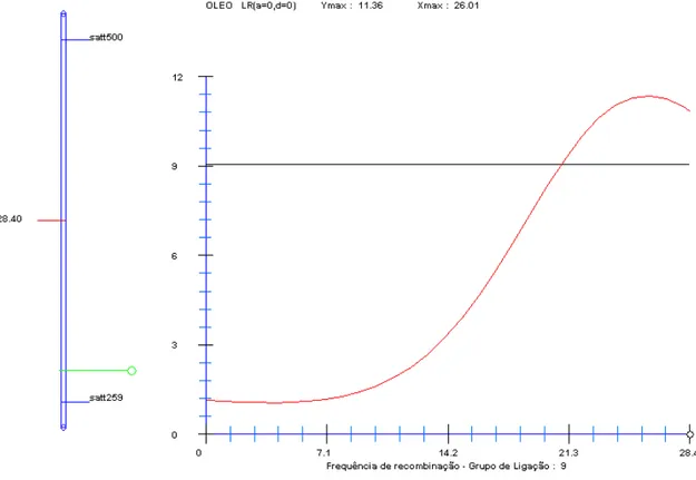Figura 7. QTL associado ao conteúdo de óleo. Segmento do grupo de ligação O  representado à esquerda e curva da razão de verossimilhança à direita