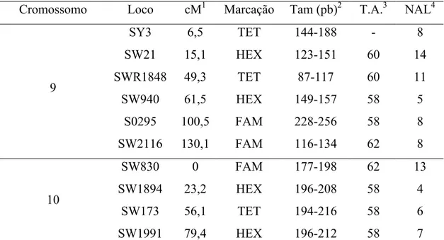Tabela  7  –  Descrição  dos  locos  microssatélites  usados  na  detecção  de  QTL  nos  cromossomos 9 e 10 de suínos.