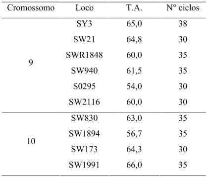 Tabela 8- Temperaturas de anelamento (T.A.) e número de ciclos (N° ciclos) dos locos  usados no estudo de características quantitativas nos cromossomos 9 e 10  de suínos.