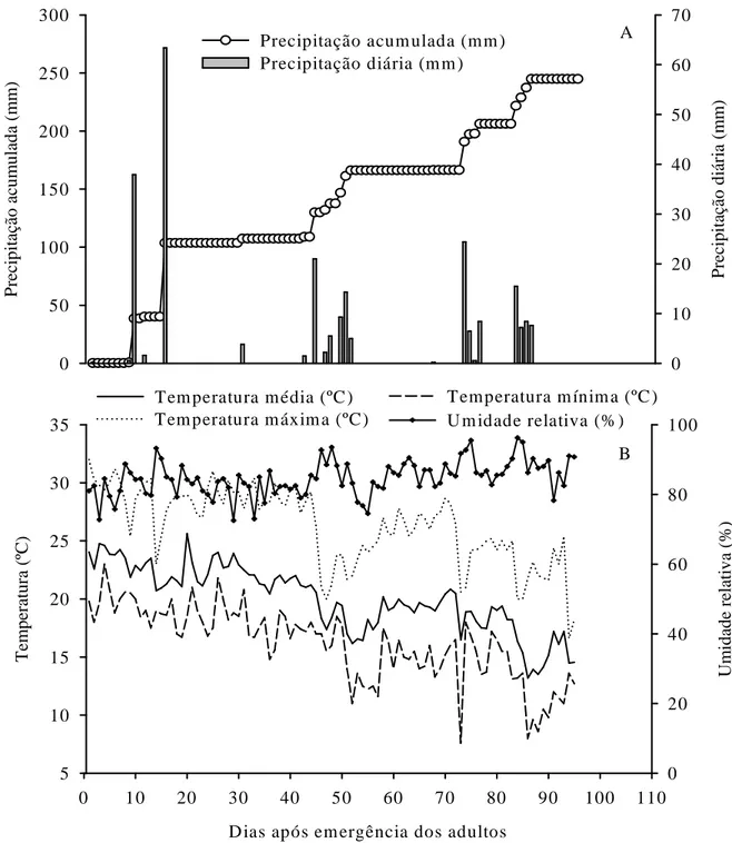 Figura 2. Precipitação diária e acumulada (A), temperaturas média, máxima e mínima e  umidade  relativa  do  ar  (B)  durante  a  fase  reprodutiva  do  predador  Podisus  nigrispinus  (Heteroptera:  Pentatomidae)  em  campo
