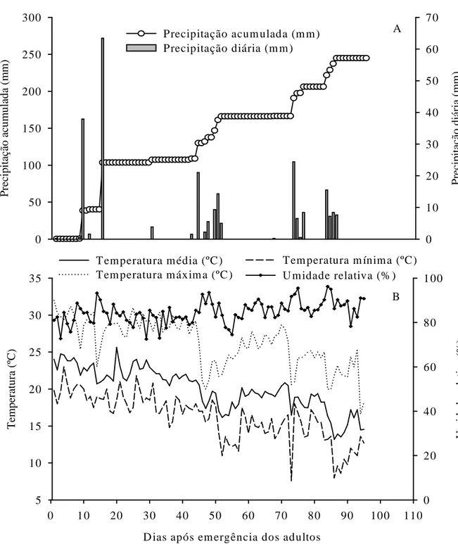 Figura 1. Precipitação diária e acumulada (A), temperaturas média, máxima e mínima e  umidade  relativa  (B)  durante  a  fase  reprodutiva  do  predador  Podisus  nigrispinus  (Heteroptera:  Pentatomidae)  em  campo