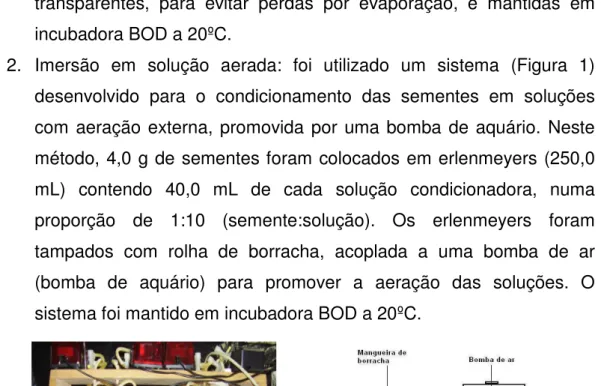 Figura  1  –  Sistema  utilizado  para  o  condicionamento  de  sementes  pelo método de soluções aeradas