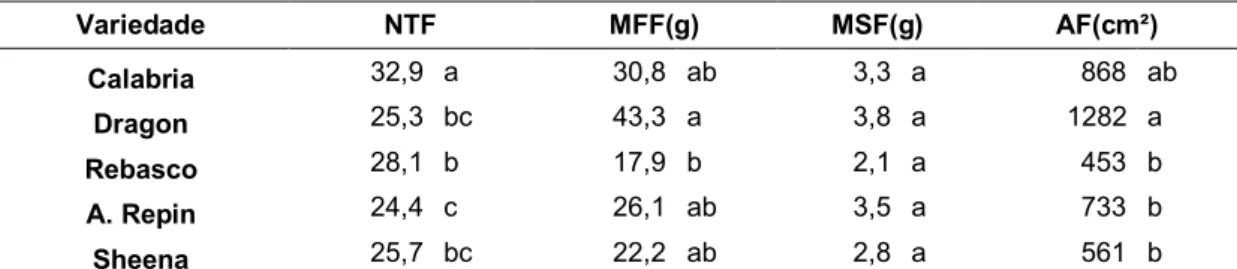 Tabela  3  –  Valores  médios  para  número  total  de  folhas  (NTF),  massa  fresca  de  folhas (MFF), massa seca de folha (MSF) e área foliar (AF), para 5 variedades de  crisântemo, cultivados sob 21 dias longos