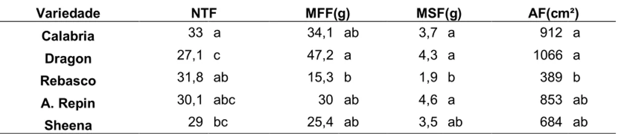 Tabela  6  –  Valores  médios  para  número  total  de  folhas  (NTF),  massa  fresca  de  folhas (MFF), massa seca de folha (MSF) e área foliar (AF), para 5 variedades de  crisântemo, cultivados sob 28 dias longos