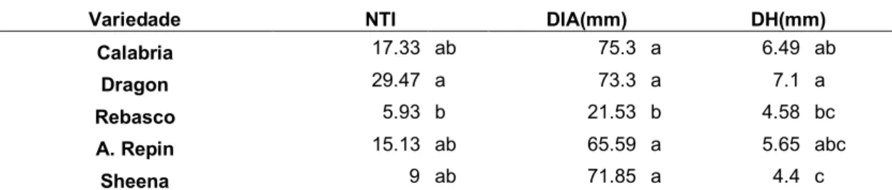 Tabela 13 - Valores médios para número total de inflorescências (NTI), diâmetro de  inflorescência  aberta  (DIA)  e  diâmetro  da  haste  (DH),  para  5  variedades  de  crisântemo, cultivados sob 42 dias longos