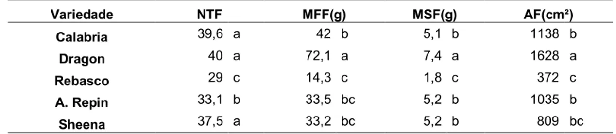 Tabela 15  – Valores médios para número total de folhas (NTF), massa fresca de  folhas (MFF), massa seca de folha (MSF) e área foliar (AF), para 5 variedades de  crisântemo, cultivados sob 49 dias longos