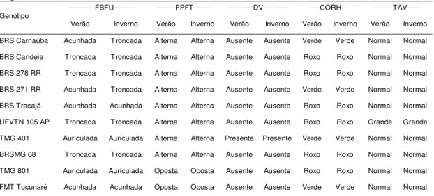 Tabela  4  -  Expressão  dos  caracteres  qualitativos  forma  da  base  da  folha  unifoliolada  (FBFU),  filotaxia  apresentado  pelo  primeiro  par  de  folhas  trifolioladas  (FPFT) e depresão na vagem (DV), cor do hipocótilo (CORH) e tamanho do apícul