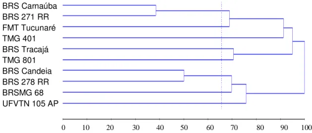 Figura 4 - Dendograma do padrão de similaridade entre 10 cultivares de soja  com 