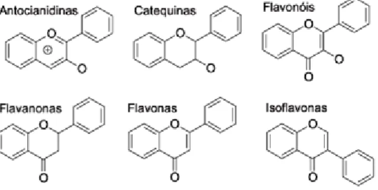 Figura  2:  Estrutura  química  dos  principais  tipos  de  flavonoides.  Fonte:  Março et al., 2008