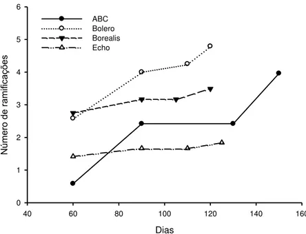 Figura  6:  Número  médio  de  ramificações  das  variedades  ABC,  Bolero,  Borealis  e  Echo ao longo do ciclo