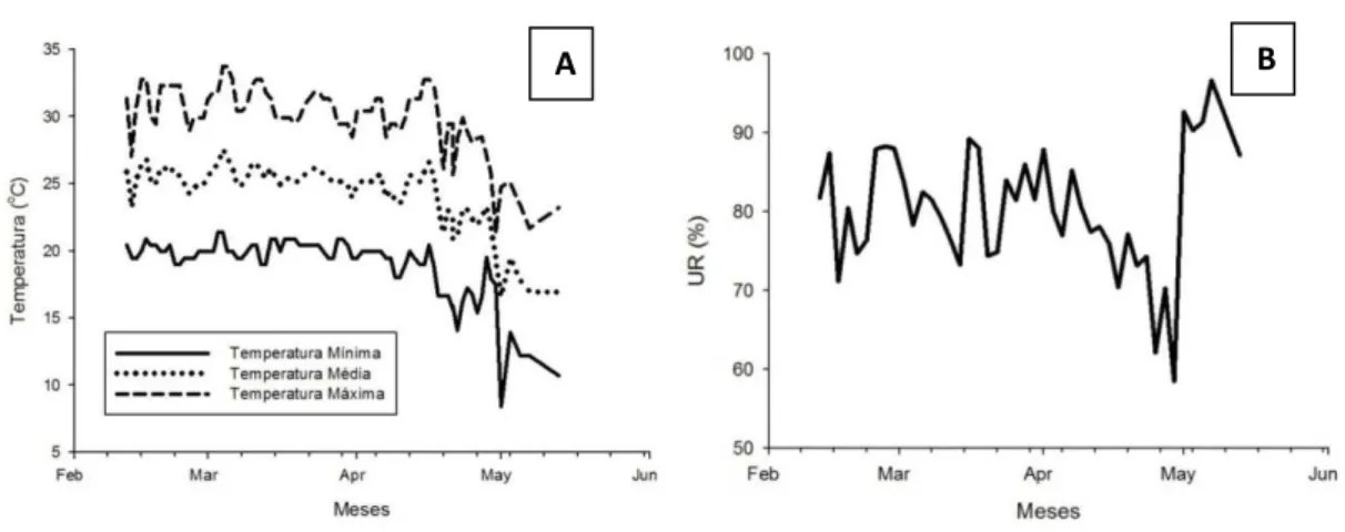 Figura 3.1.: Temperaturas mínima, média e máxima (A) e umidade relativa do ar (UR) (B)  durante  o  armazenamento  de  rizomas  de  copo-de-leite  em  temperatura  ambiente