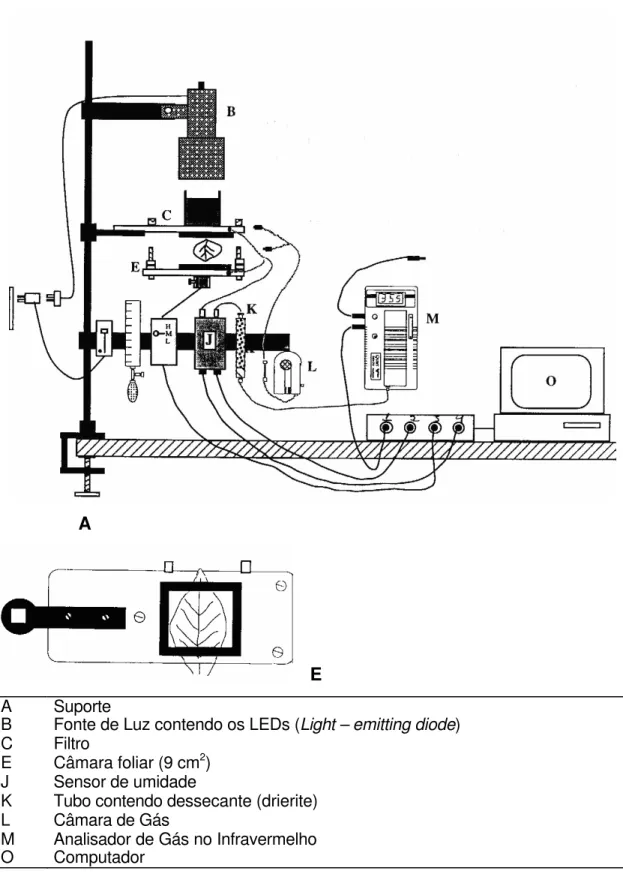 Figura 1 – IRGA  – Analisador  de Gás no Infravermelho (adaptado de  Qubit  Systems). 