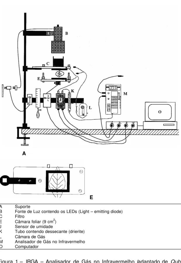Figura 1  – IRGA  – Analisador  de Gás no Infravermelho (adaptado de  Qubit  Systems)