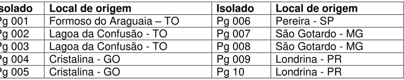 Tabela 1  – Relação de isolados de Pyricularia grisea obtidos de diferentes cultivares de  trigo provenientes de regiões produtoras do cereal