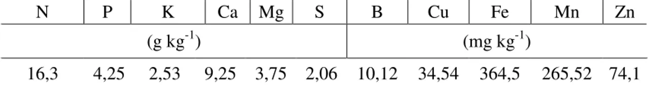 Tabela  2  -  Características  químicas  do  composto  orgânico  com  base  na  matéria  seca 