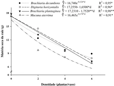 Figura 9 - Matéria seca da raiz de plantas de café em função da densidade de plantas  daninhas após 90 dias de convivência no vaso