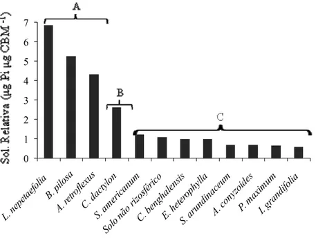 Figura 3 - Solubilização relativa de Ca 3 (PO4) 2   (Pi liberado por unidade de Biomassa 