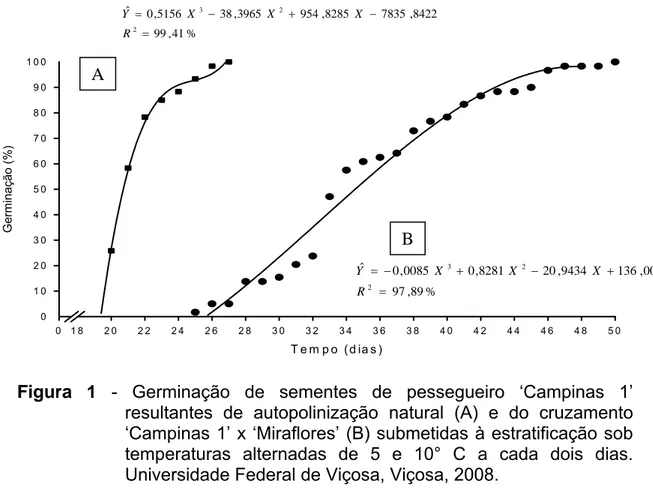 Figura 1 - Germinação de sementes de pessegueiro ‘Campinas 1’  resultantes de autopolinização natural (A) e do cruzamento  ‘Campinas 1’ x ‘Miraflores’ (B) submetidas à estratificação sob  temperaturas alternadas de 5 e 10° C a cada dois dias
