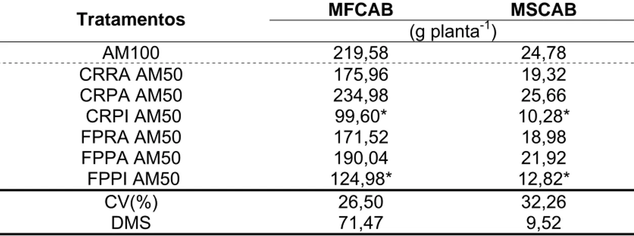 Tabela 3 - Valores médios de produção da massa da matéria fresca e seca  de cabeças de repolho (MFCAB e MSCAB), aos 100 dias após o transplantio
