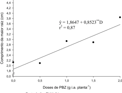 Figura 2. Estimativa do comprimento da maior raiz  dos explantes das bananeiras ‘Prata Anã’ e  ‘FHIA 01’ provenientes de plantas tratadas  com diferentes doses de PBZ