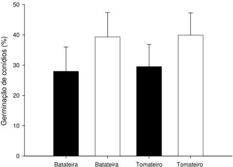 Figura 4 - Germinação de conídios (%) de Alternaria solani, de isolados de batateira e  de tomateiro, no ensaio 1 (barra escura) e 2 (barra clara)