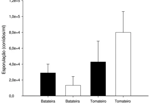 Figura 5  - Produção de conídios (conídios/ml) de  Alternaria solani, de isolados de  batateira e de tomateiro, nos ensaios 1 (barra escura) e 2 (barra clara)