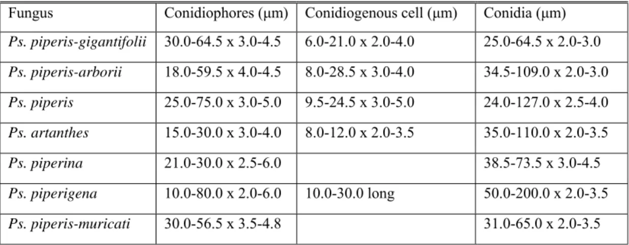 Table 1. Biometric data of Pseudocercospora species on Piperaceae, including new  described species