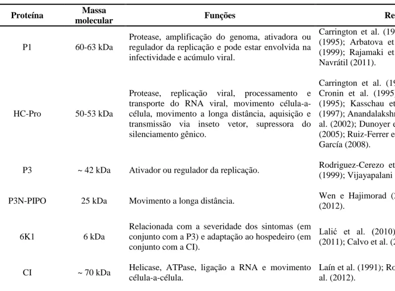 Tabela 1. Proteínas produzidas pelos potyvírus e suas funções. 