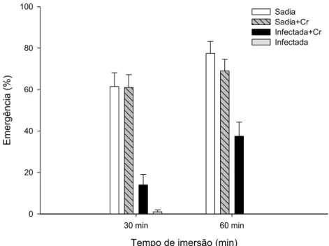 Figura  5:  Emergência  de  feijoeiro  em substrato,  após  imersão  de  sementes  sadias  e  infectadas  com  Sclerotinia  sclerotiorum  em  suspensão  de  conídios  de  Clonostachys  rosea  (Cr)