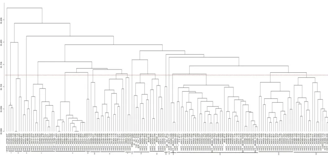Figura 2 - Dendrograma obtido por meio do método UPGMA com base no coeficiente de similaridade de Jaccard, estimadas entre 158 genótipos 