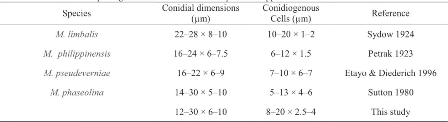 Table 4 Main morphological characteristic of Macrophomina spp.. 