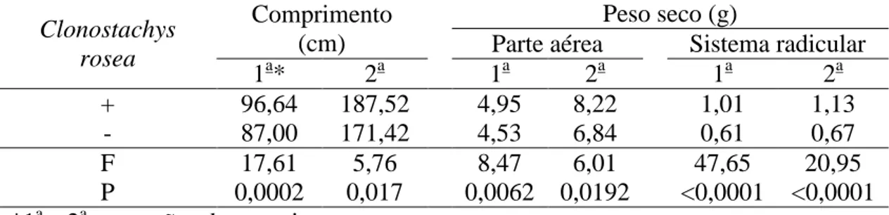 Tabela 1. Comprimento, peso seco da parte aérea e do sistema radicular de plantas 