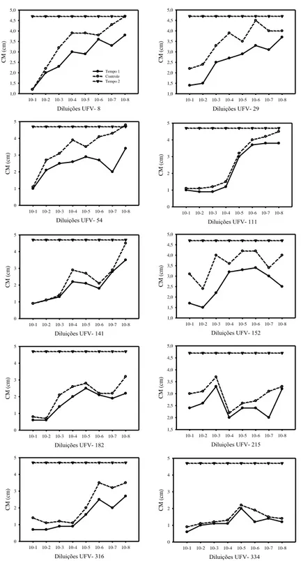 Figura  5:  Crescimento  micelial  de  Alternaria  brassicicola  aos  oito  (Tempo  1) e  quinze  dias 