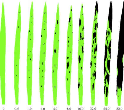 Figura 1. Escala diagramática (porcentagem de área foliar lesionada) utilizada para  avaliação da severidade da brusone em folhas de plantas de trigo  (Notteghem, 1981)