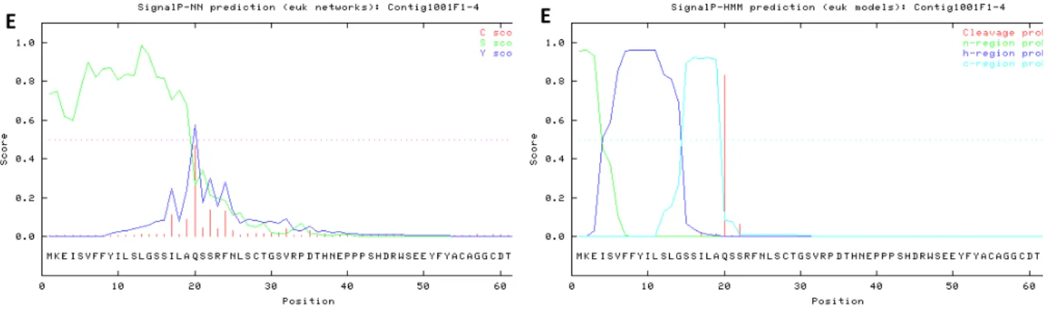 Figura 6: Resultado gráfico da predição de peptídeo sinal nas proteínas deduzidas a partir das ORFs  preditas  a  partir  das  sequências  dos  contíguos  721(A),  339  (B),  168  (C),  972  (D)  e  1001  (E),  pelo  programa SignalP, utilizando algoritmo 
