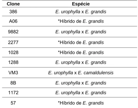 Tabela 2. Clones de Eucalyptus spp. inoculados com os isolados de Ceratocystis  fimbriata