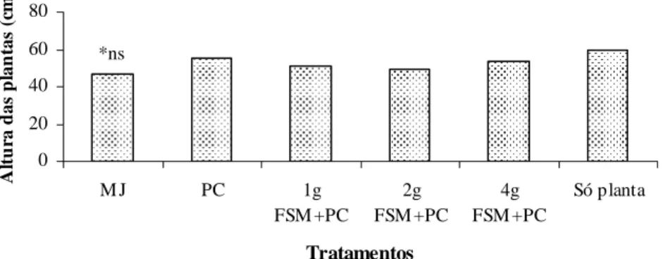 Figura 5 – Altura das plantas de tomateiro inoculadas com M.  javanica  (MJ), obtidos aos 45 dias após a inoculação com P