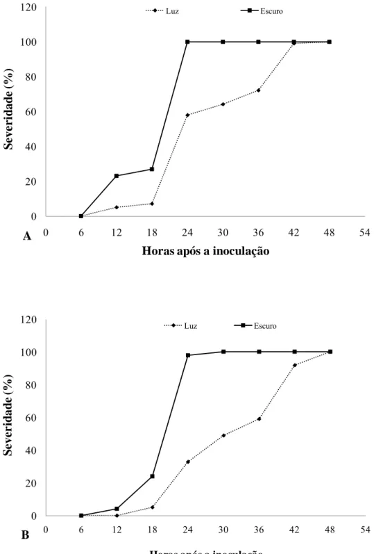 Figura 4: Severidade da mancha–de-pteridis na presença ou ausência de luz em função  do tempo de incubação