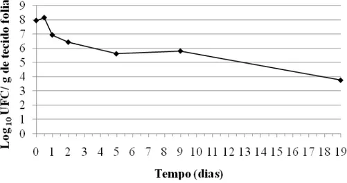 Figura 6- Dinâmica populacional de Pseudomonas putida quando  dispensada no filoplano de tomateiro em condições de  casa de vegetação