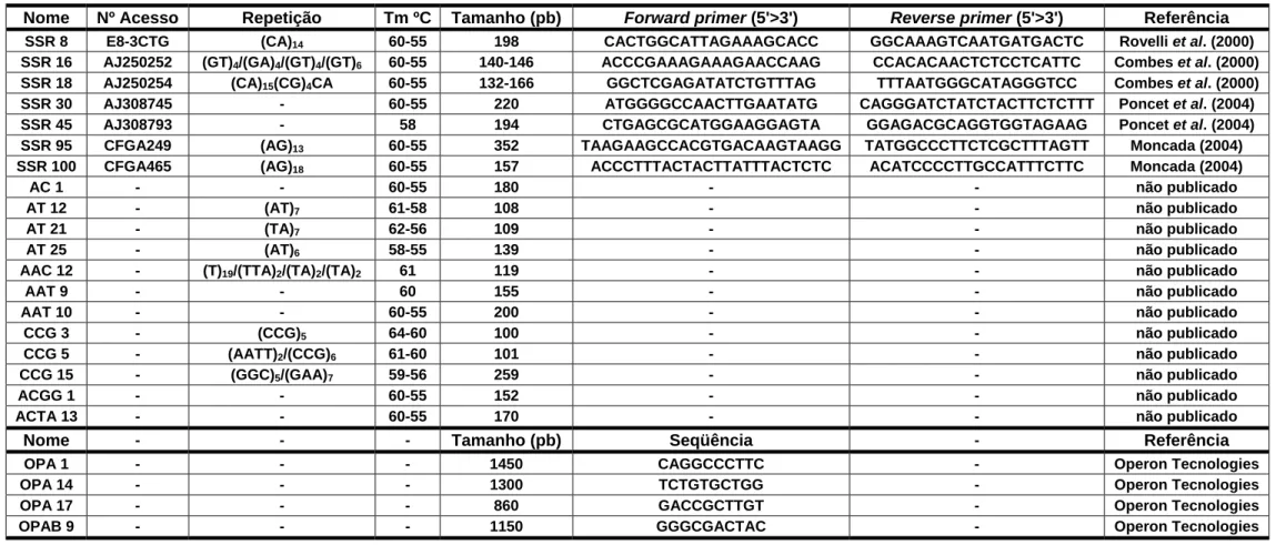 Tabela 1: Primers SSR e RAPD polimórficos nos progenitores Híbrido de Timor UFV 443-3 e Catuaí Amarelo UFV 2148-57