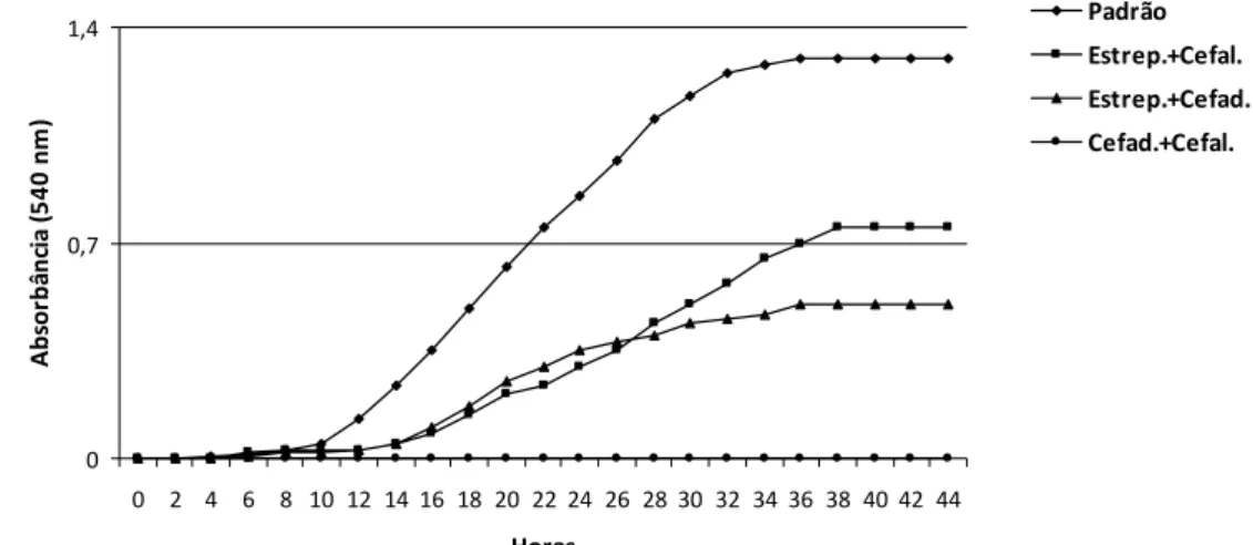 Figura 11- Curva de crescimento do isolado de Xanthomonas campestris  pv.  vesicatoria  sob ação dos antibióticos estreptomicina +  cefalexina (Estrep