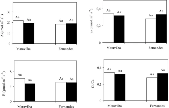 Figura 8: Efeito do alumínio sobre a taxa de assimilação de CO 2  (A), a condutância 