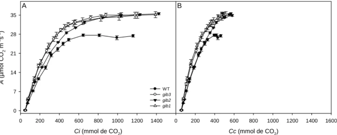 Figura  5:  Curvas  de  resposta  da  fotossíntese  líquida  (A N )  a  concentração  subestomática  (C i ),  e  cloroplastídica (C c ) de CO 2 