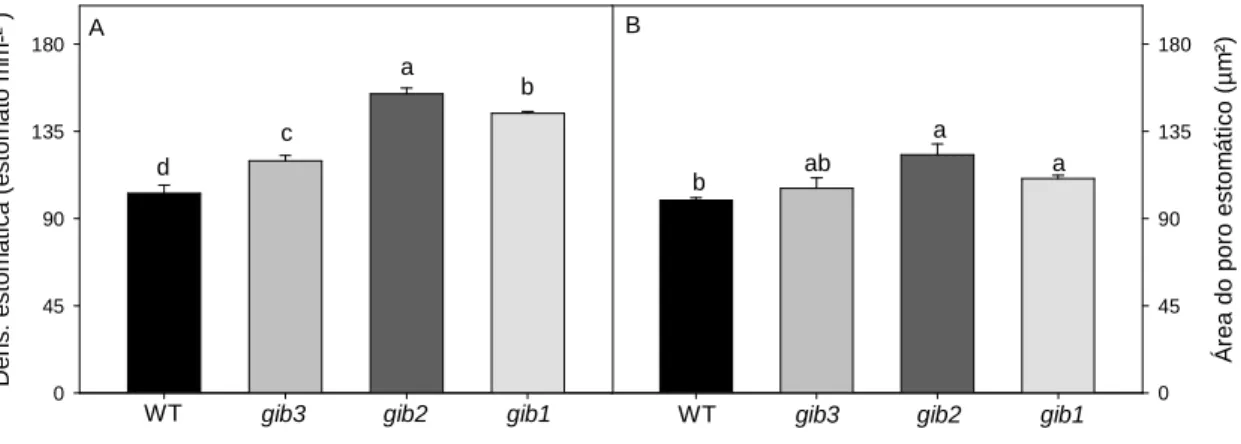 Figura  6:  Variação  em  células  epidérmicas  em  resposta  a  redução  endógena  nos  níveis  de  GA