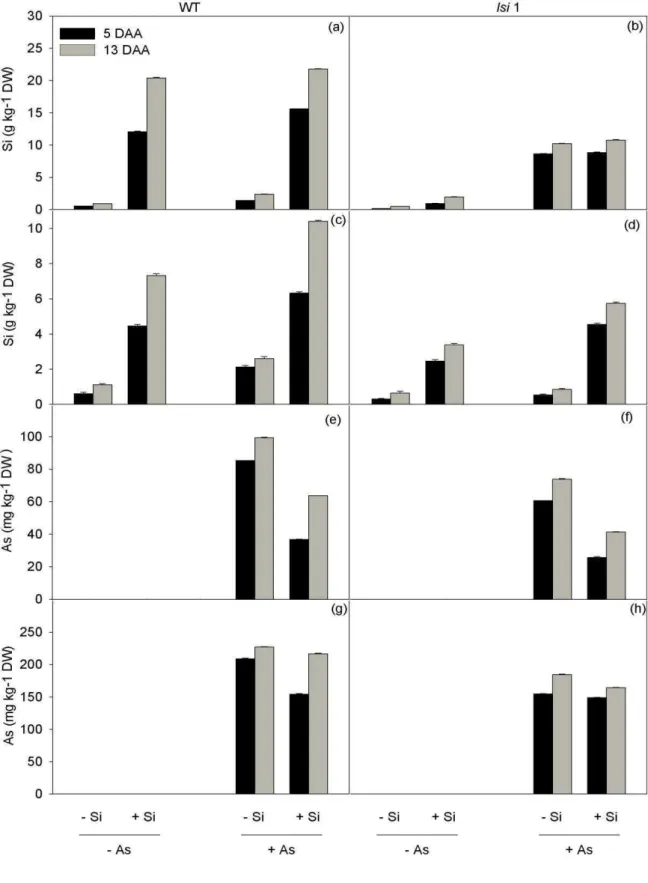 Figure 1. The effects of silicon (Si) and arsenic (As) on the concentrations of Si and  As in plant tissues