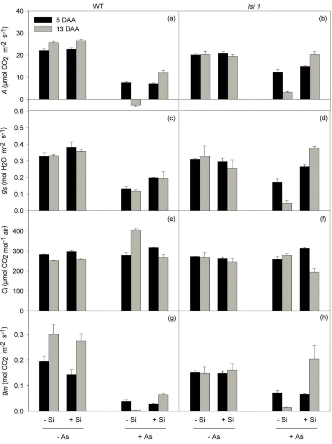 Figure 2. The effects of silicon (Si) and arsenic (As) on photosynthetic gas exchange  traits