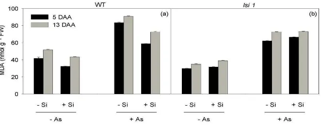 Figure  6.  The  effects  of  silicon  (Si)  and  arsenic  (As)  on  the  leaf  concentrations  of  malondealdehyde (MDA)