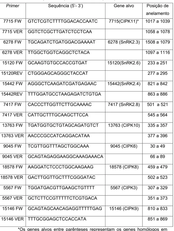 Tabela 1: Lista dos  primers  específicos utilizados para qRT-PCR. 
