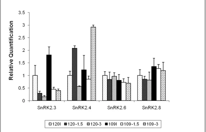 Figura 10: Padrão de expressão dos genes pertencentes à família SnRK2,  em folhas de café, em condições de seca